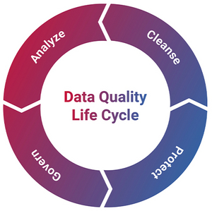 Data Quality Life Cyle Data Quality Life Cyle