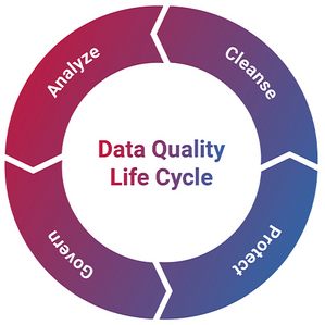 Data Quality Life Cyle